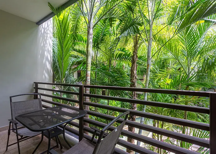 Seaview Roof Pool, Gym Onsite, 4 Blocks To 5th Ave Playa del Carmen